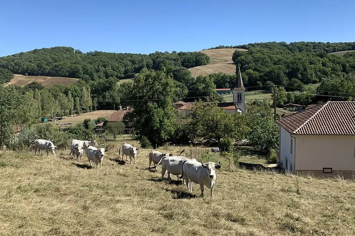Ferme de la Famille Solle – Produits de la ferme